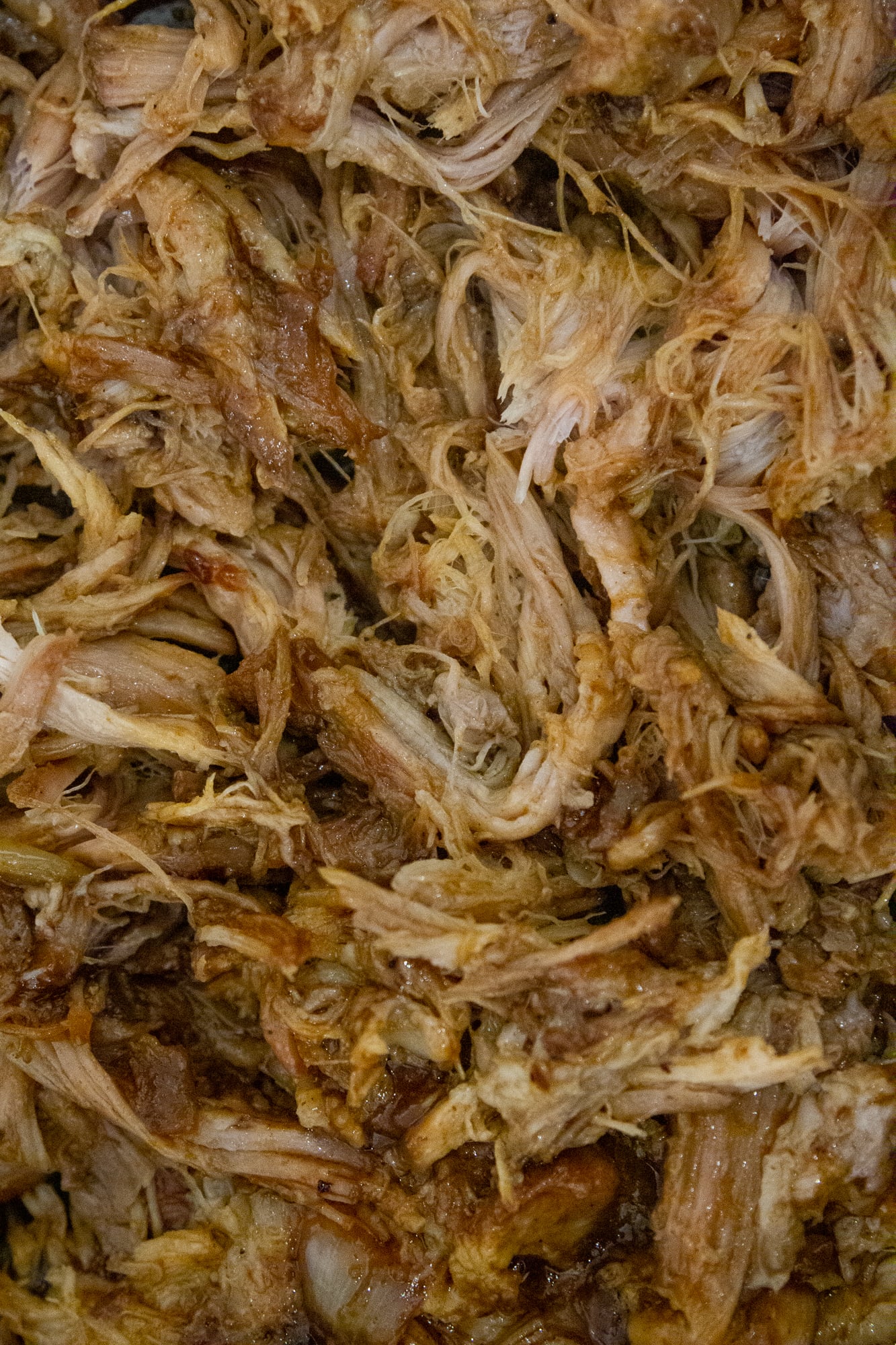 Close up picture of pulled pork made in the crockpot.
