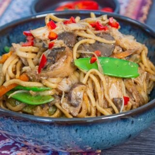 Slow Cooker Chicken Chow Mein in a bowl.