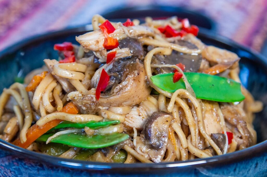 Close-up picture of Slow Cooker Chicken Noodles in a bowl with vegetables and Chow Mein sauce.