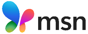 MSN Logo